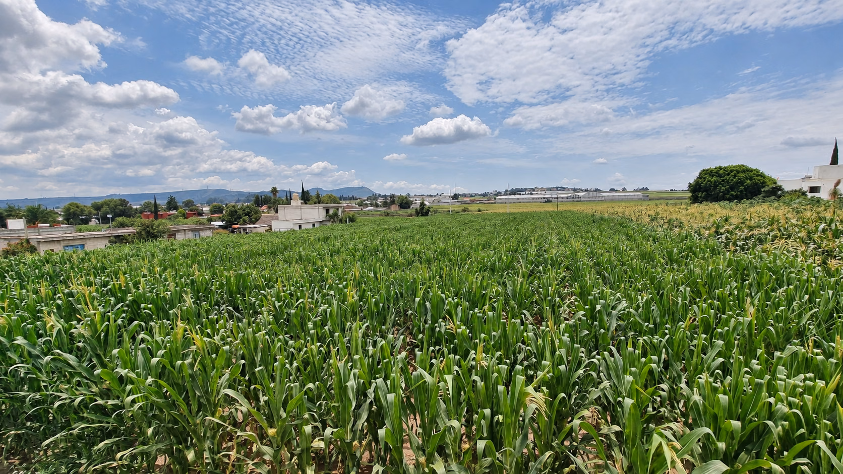 Campos de cultivo y entorno rural de Chipilo, Puebla