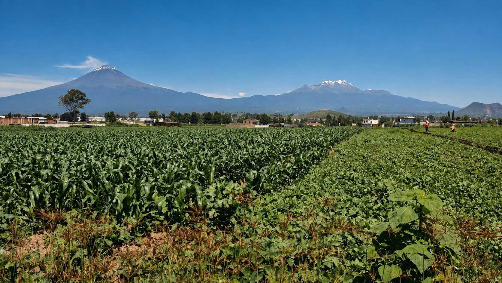 Vista de los volcanes desde el terreno en Chipilo, Puebla